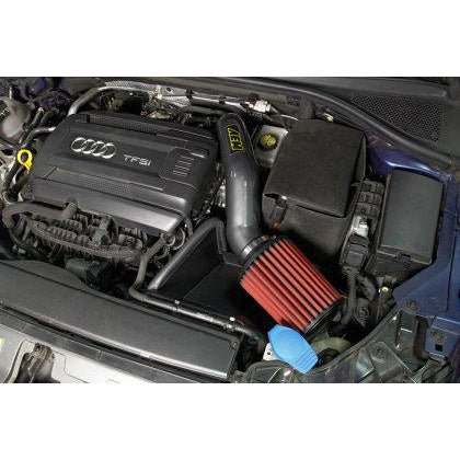 AEM Cold 2015-2016 Audi A3 L4-2.0L F/I Silver Cold Air Intake