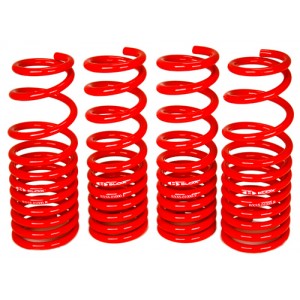 BLOX Racing Lowering Springs - EG Civic / Delsol