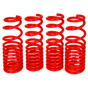 BLOX Racing Lowering Springs - EF Civic/CRX